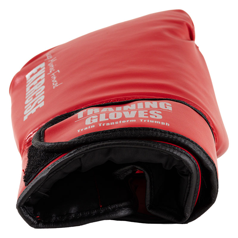 ボクシンググローブ 大人用 メッシュ袋入