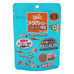 メダカベビー ハイパー育成 20g