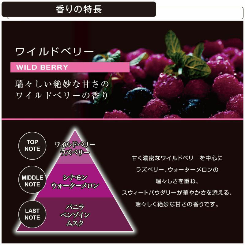 ブラングソリッド詰替3P 180g ワイルドベリー