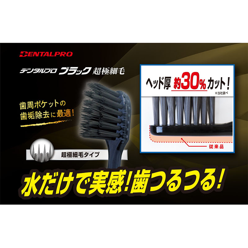 デンタルプロ  ブラック  超極細毛コンパクト  かため