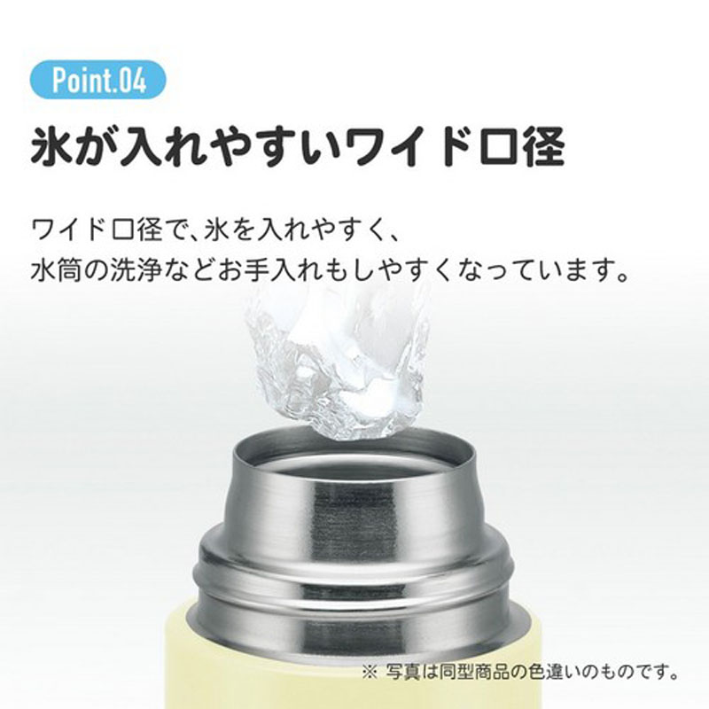 ステンレス 水筒 直飲み 580ml ポケモン23N ｜ ミスターマックス