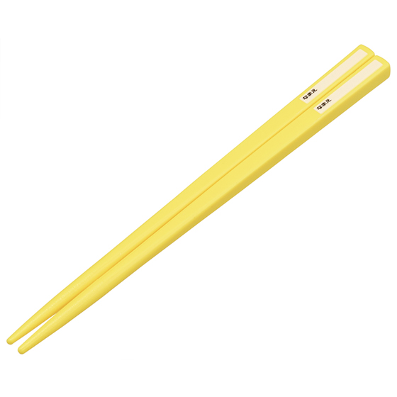 【お取り寄せ商品】抗菌 食洗機対応 箸箱セット 箸16.5cm ジュラシックワールド24