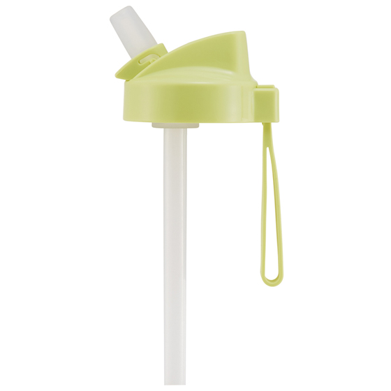【お取り寄せ商品】ストローボトル 500ml ディノサウルス