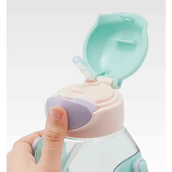 【お取り寄せ商品】ワンプッシュストローボトル 530ml ディズニープリンセス25