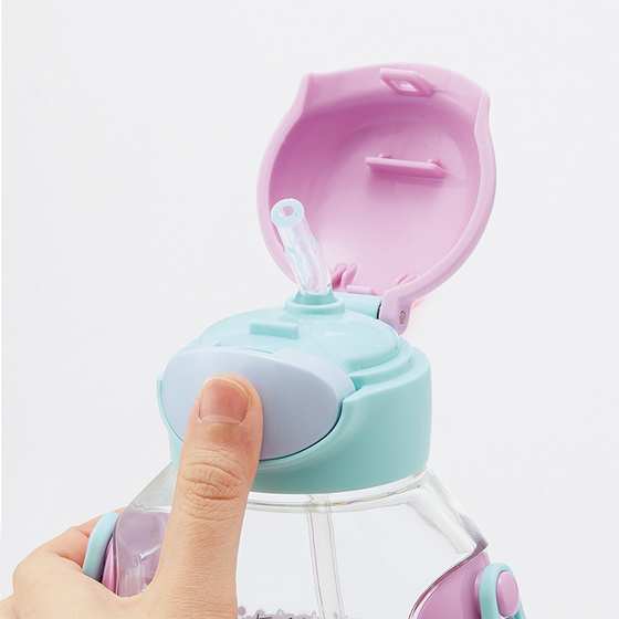 【お取り寄せ商品】ワンプッシュストローボトル 530ml アナと雪の女王25