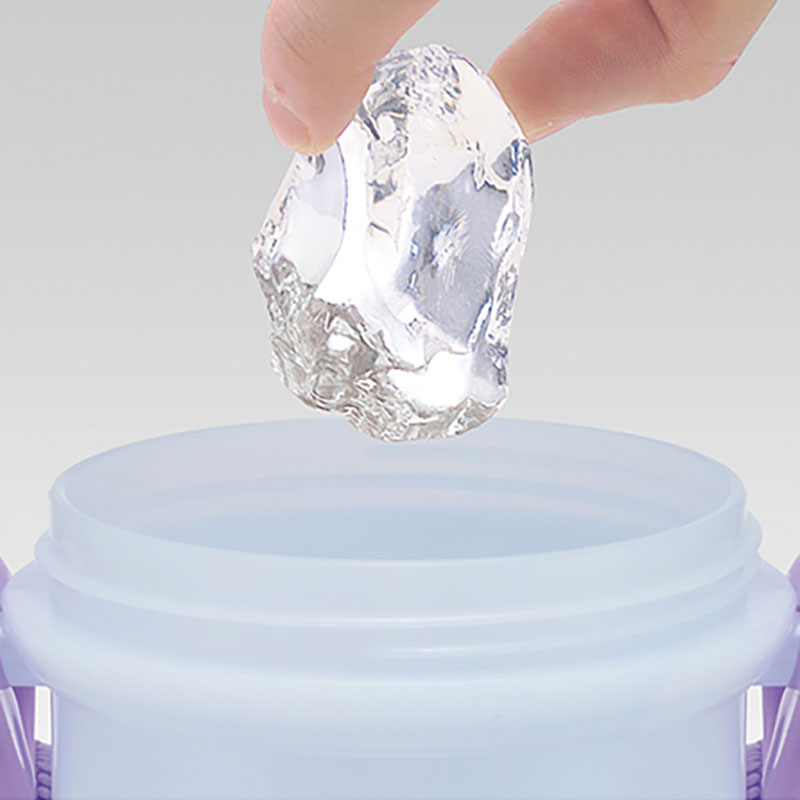 【お取り寄せ商品】直飲みワンタッチボトル 480ml アナと雪の女王26