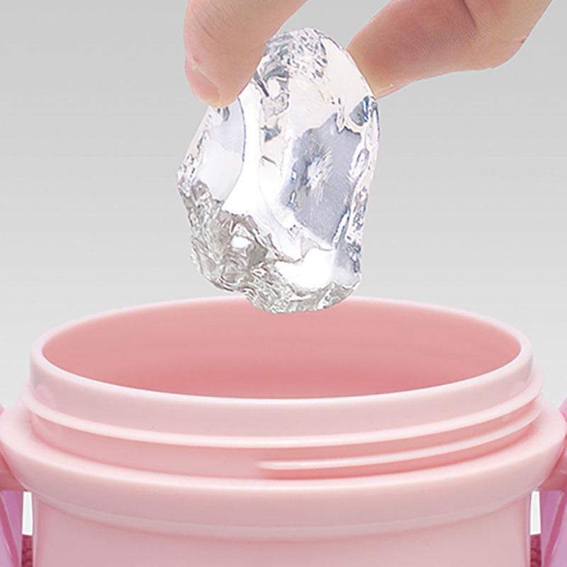 【お取り寄せ商品】直飲みワンタッチボトル 480ml 塔の上のラプンツェル26