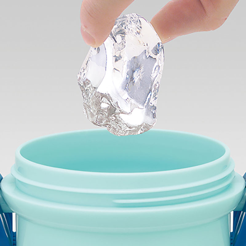 【お取り寄せ商品】直飲みワンタッチボトル 480ml パウパトロール26