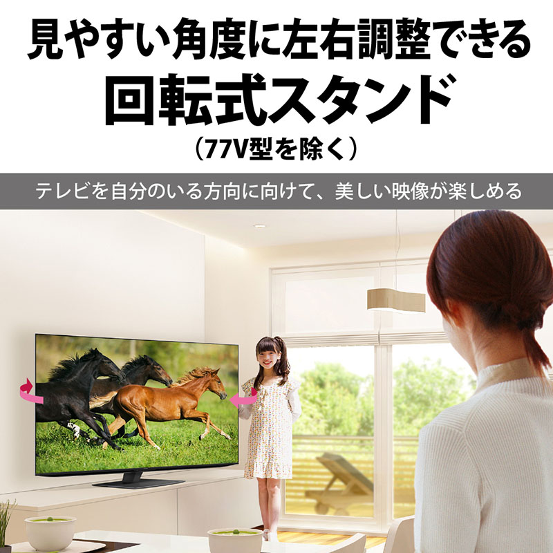 AQUOS OLED 65型 4K有機ELテレビ 4T-C65EQ1