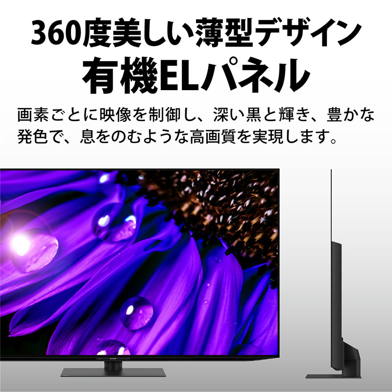 AQUOS OLED 65型 4K有機ELテレビ 4T-C65EQ1