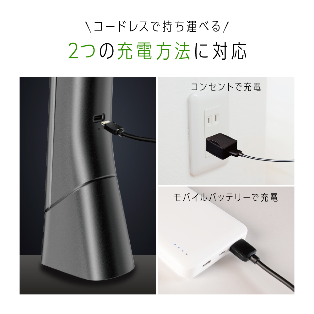 【お取り寄せ商品】充電式LEDスタンドライト ZLT-10JE