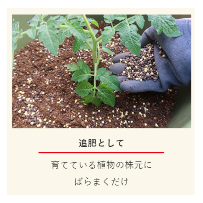 マイガーデン元肥用