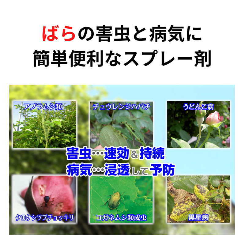 ベニカXファインスプレー(マイローズ)950ml