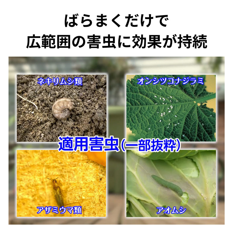 オルトラン粒剤