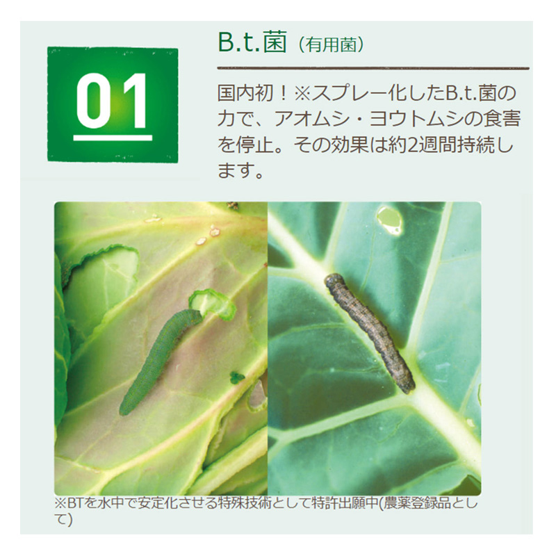 ベニカナチュラルスプレー 1000ml