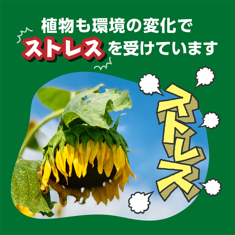 バイオスティミュラント活力液 X-ENERGY 600ml