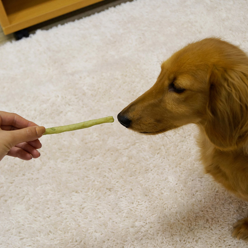 ホワイデント 激かみ！歯みがきガム グリーン スティックS 24本