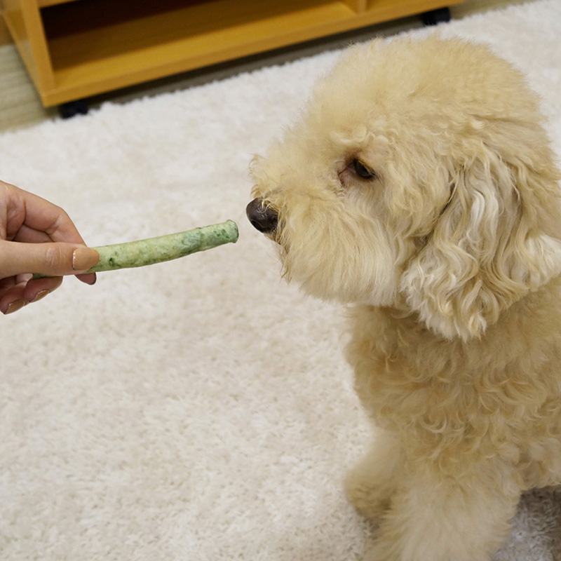 ホワイデント 激かみ！歯みがきガム グリーン スティックL 10本