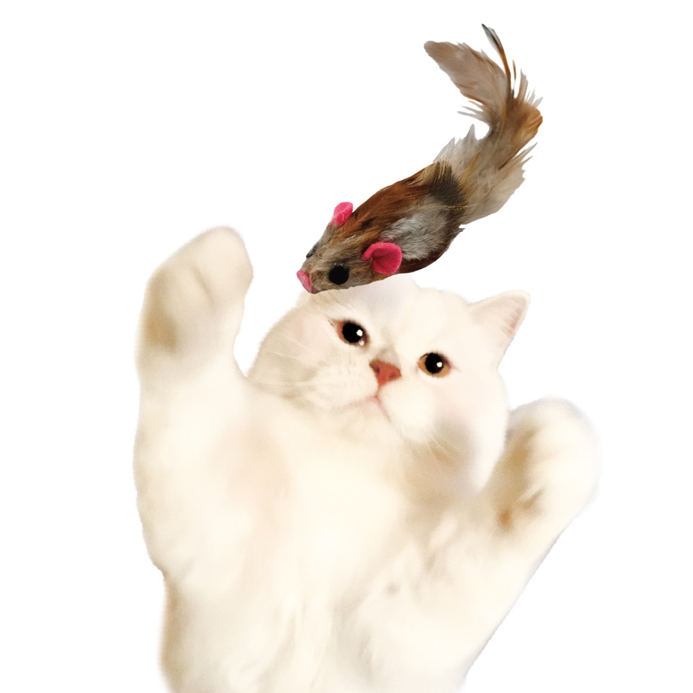 じゃれ羽 チューバード ゆらゆらバンジー