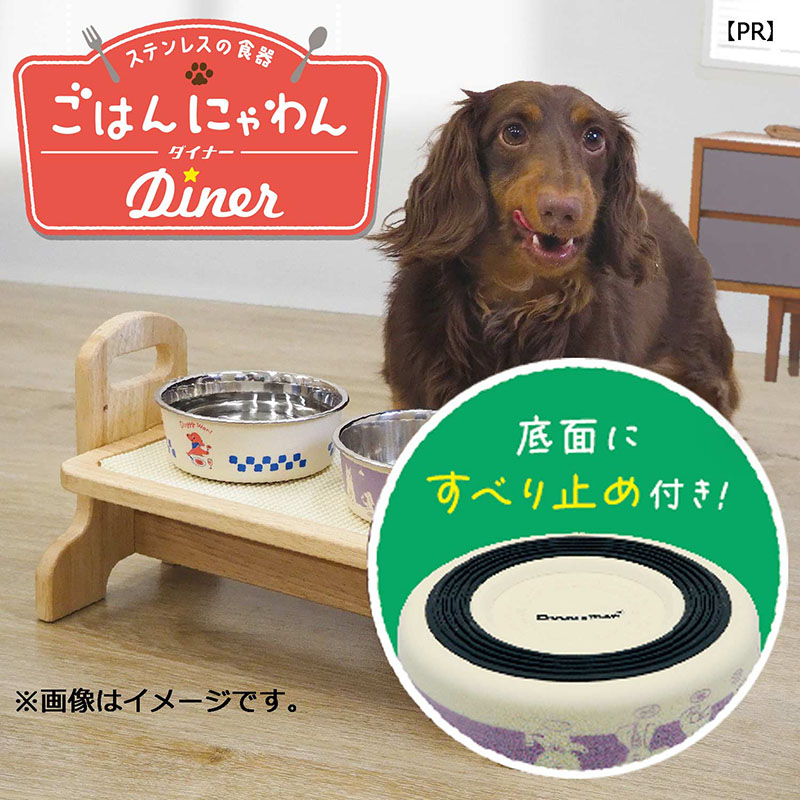 ステンレスの食器 ごはんにゃわん 犬用 SS ビストロ