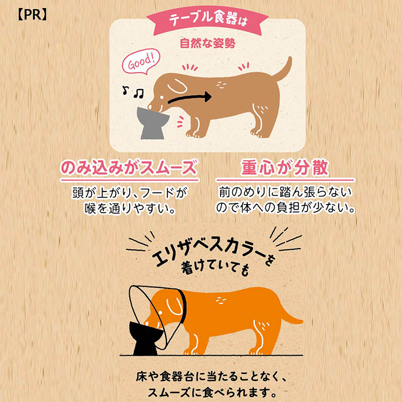 ステンレスのテーブル食器 犬用 S