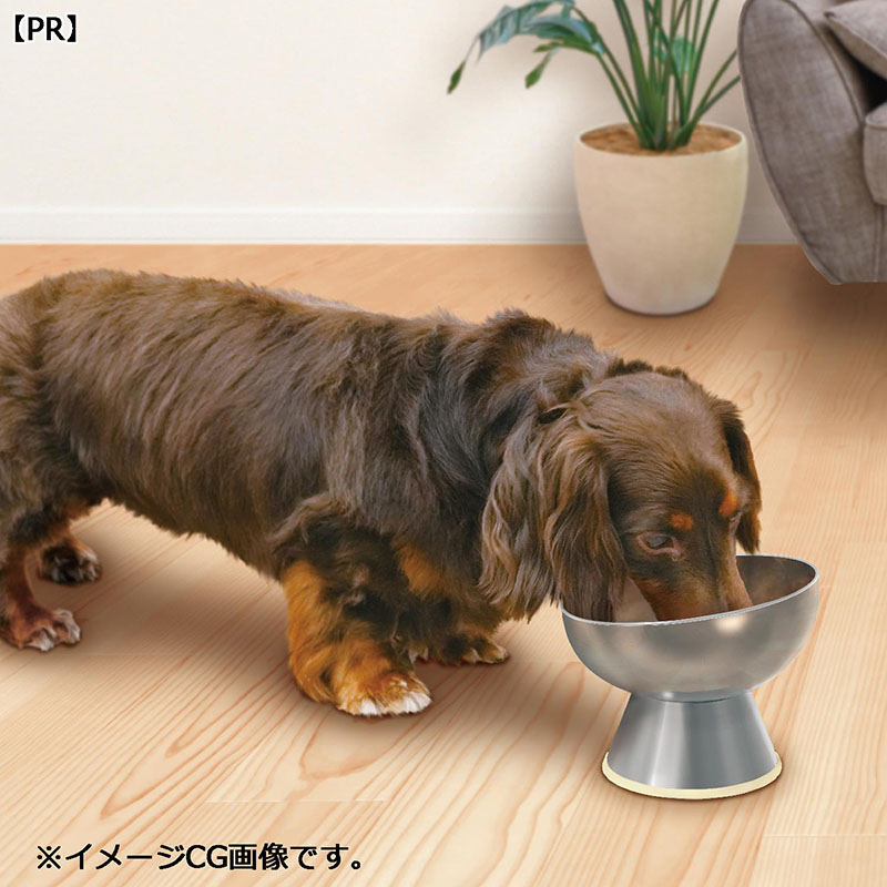 ステンレスのテーブル食器 犬用 S