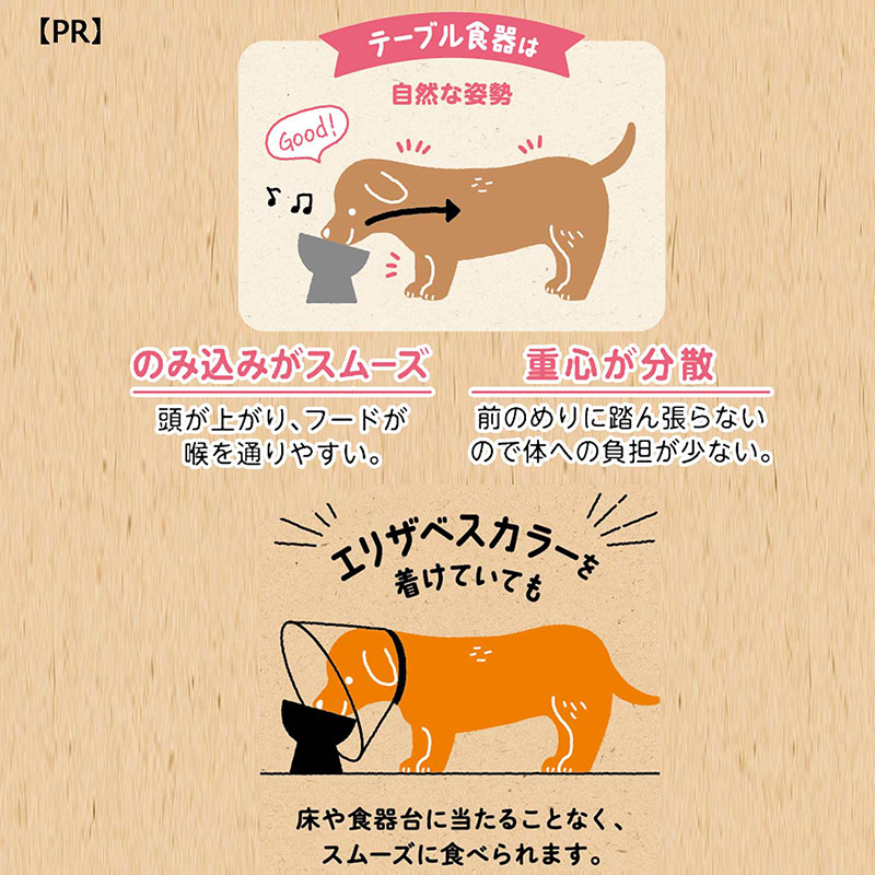 ステンレスのテーブル食器 犬用 M
