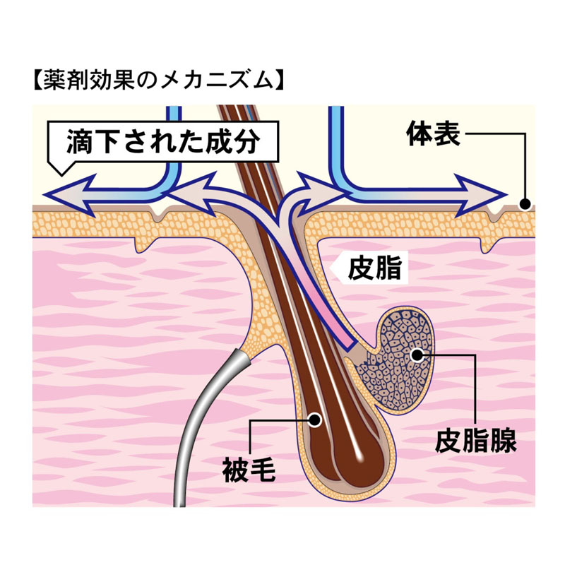 薬用ペッツテクト+ フォースガード 中型犬用 3本入【動物用医薬部外品】