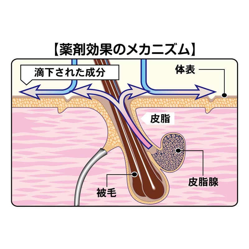 薬用ペッツテクト アドバンス 猫用 1本入