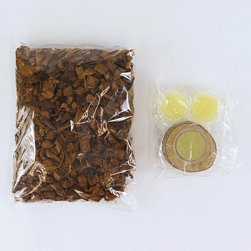 かんたん昆虫飼育セット S 成虫飼育用 4点セット