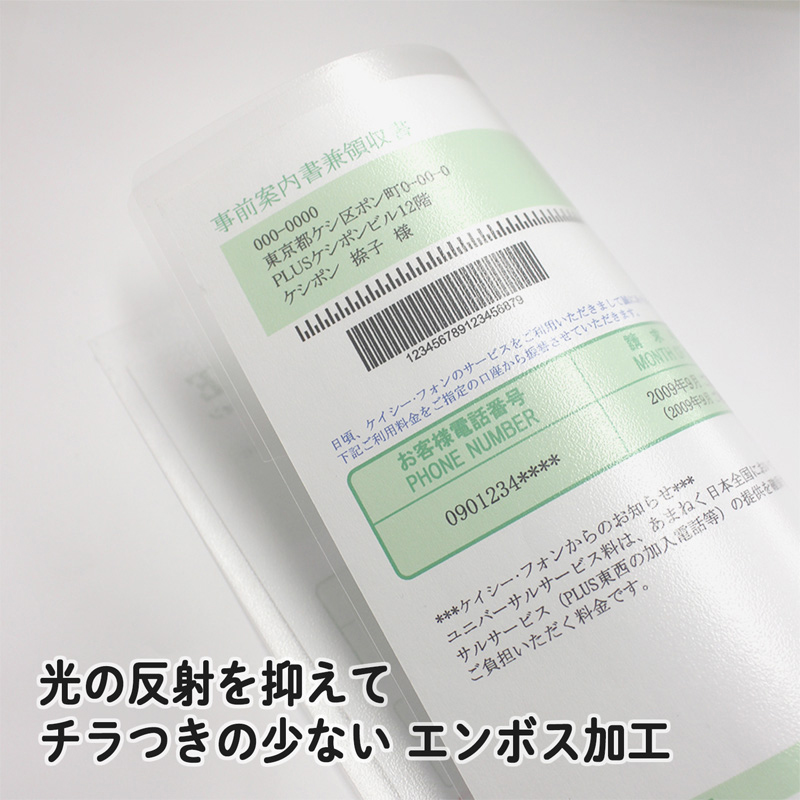 クリアーホルダー 薄型軽量フィルムホルダー A4 100枚入 クリアー FL-160HO-100