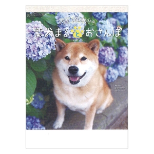 柴犬まるとおさんぽ 2025年カレンダー CL-393 壁掛 54×38cm