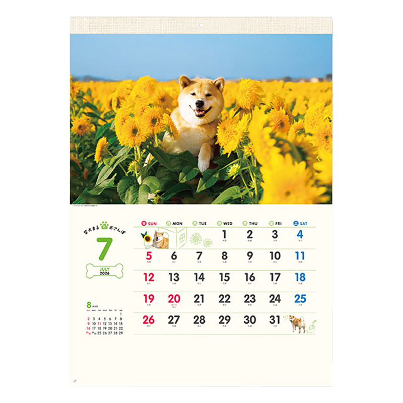 【お取り寄せ商品】柴犬まるとおさんぽ 2026年カレンダー 壁掛け NK-8035