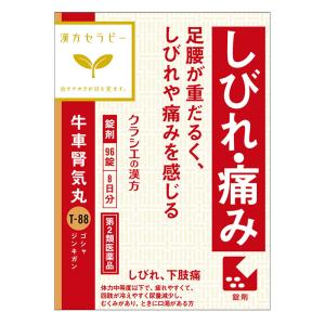 【第2類医薬品】漢方牛車腎気丸料エキス錠 96錠