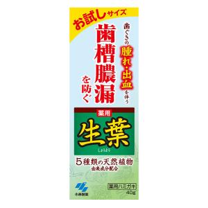 歯磨き粉 生葉 お試しサイズ