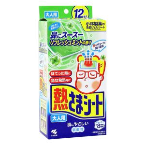 熱さまシート フレッシュミントの香り 大人用 12枚入