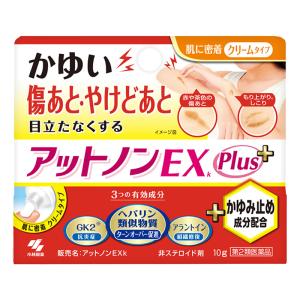 【第2類医薬品】アットノンEX+かゆみ止め成分配合 10g