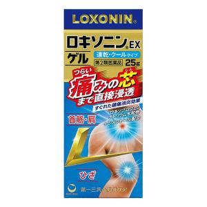 【第2類医薬品】ロキソニンEX ゲル 25g