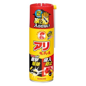 アリキンチョール 300ml