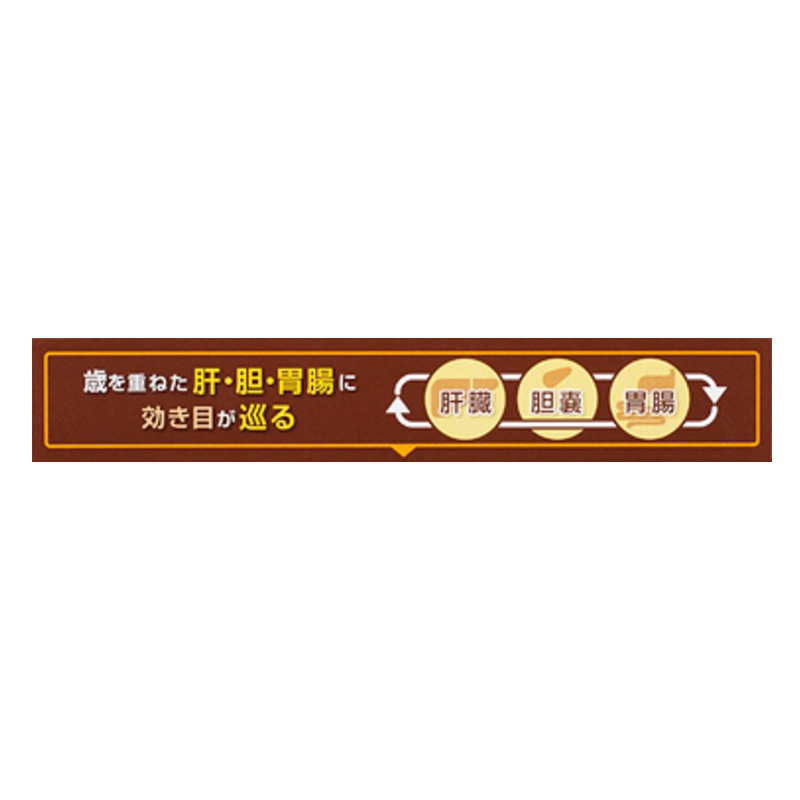 【第3類医薬品】タナベ胃腸薬ウルソ 20錠