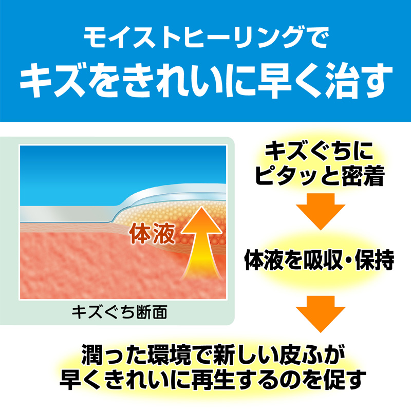 絆創膏 ケアリーヴ 治す力 防水タイプ Mサイズ 12枚