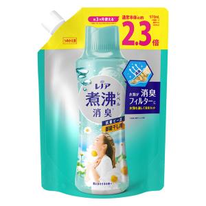 レノア 超消臭抗菌ビーズ 部屋干し 花とおひさまの香り 970ml