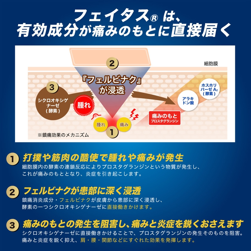 【第2類医薬品】フェイタス 5.0 10枚