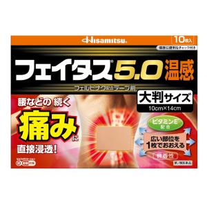 【第2類医薬品】フェイタス 5.0 温感 (大判サイズ) 10枚