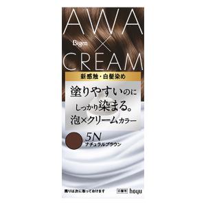 泡クリームカラー 5Ｎナチュラルブラウン 白髪用【医薬部外品】