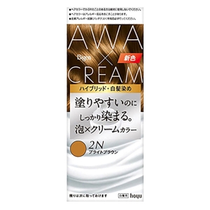 ビゲン 泡クリームカラー 2N ブライトブラウン 【医薬部外品】
