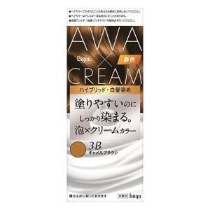 ビゲン 泡クリームカラー 3B キャメルブラウン 【医薬部外品】