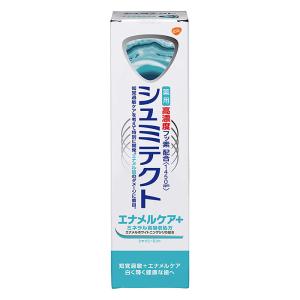 歯磨き粉 薬用シュミテクト エナメルケア+〈1450ppm〉 90g