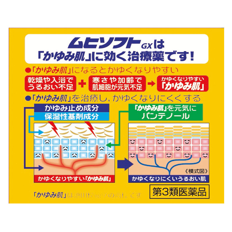 【第3類医薬品】ムヒソフトGX 60g