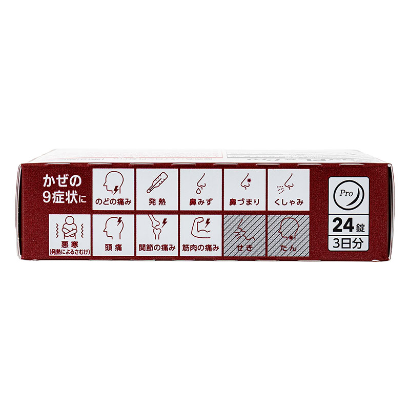 【指定第2類医薬品】パイロンPL錠Pro 24錠